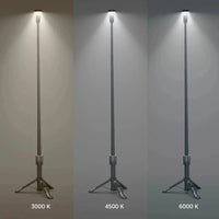 Infinity X1 2000 Lumen Camp Light Outdoor Garden Patio Decking Seating Light